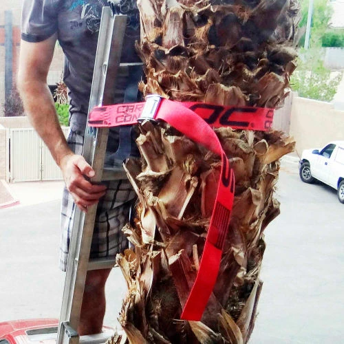 Snap-Loc E-Track Single Ladder Strap Safety Tie-Down Anchor Kit - Image 3